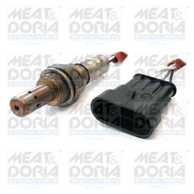 Oxygen Sensor